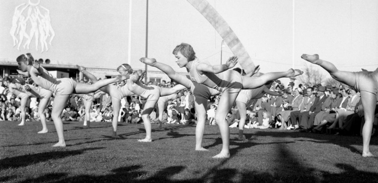 Unlocking the Europeana Network Association’s potential